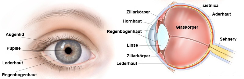 Auge Scheme